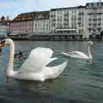 Lucerne travel video Hotel des Balancs